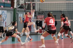 MG_5586