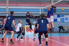 20260322_VOL_STEL_REG1M_CAL_LILLERS_39