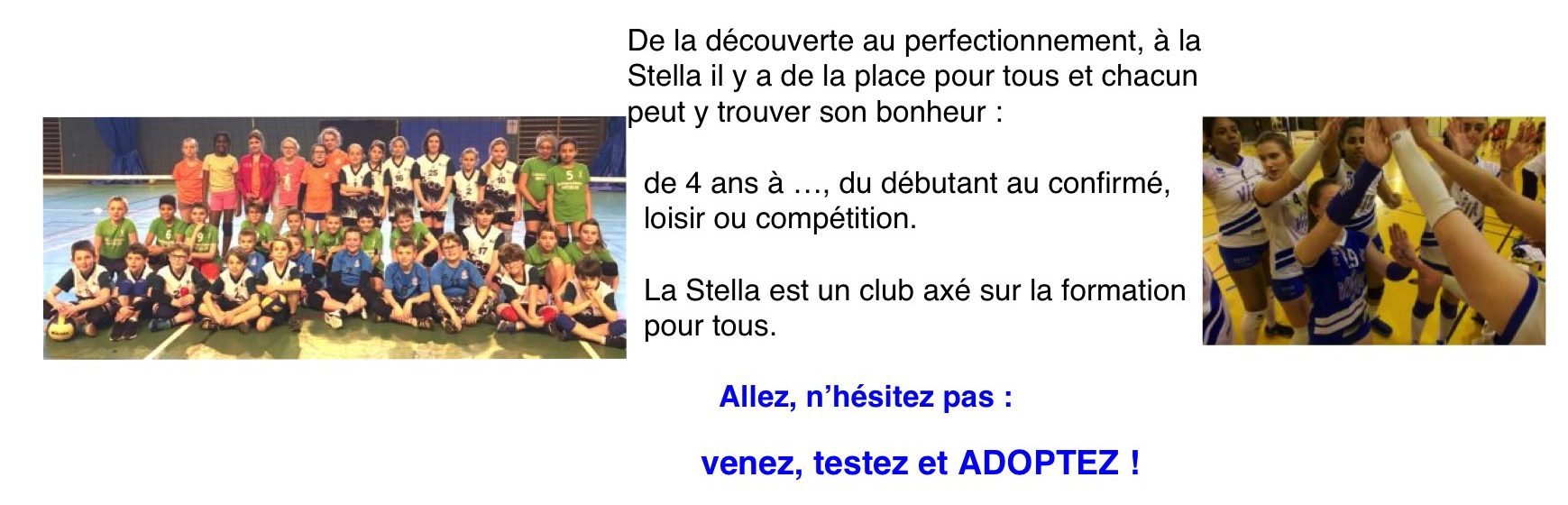Les secrets du Volley